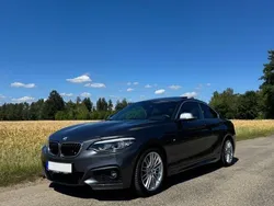 Grau Gebraucht 2017 BMW 225 M Sport Coupé | 16.400 € (Fairer Preis)