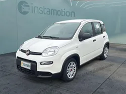 Weiß Neu 2024 Fiat Panda Kleinwagen | 12.499 € (Guter Preis)