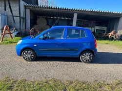 Blau Gebraucht 2009 Kia Picanto 2 Kleinwagen | 1.250 € (Fairer Preis)