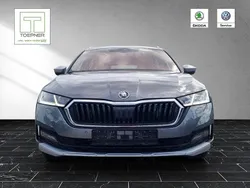 Graphitegrau metallic Gebraucht 2022 Skoda Octavia Scout 4x4 Kombi | 32.300 € (Guter Preis)