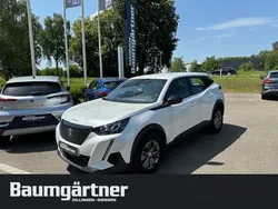 Weiß Gebraucht 2023 Peugeot 2008 Active SUV | 17.990 € (Guter Preis)