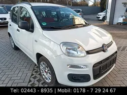 Weiß Gebraucht 2015 Fiat Panda Lounge Kleinwagen | 4.750 € (Fairer Preis)