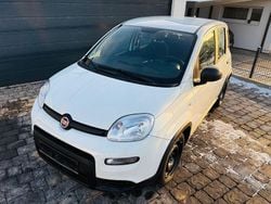 Weiß Gebraucht 2024 Fiat Panda Limousine | 11.290 € (Guter Preis)