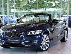 Blau Gebraucht 2015 BMW 228 Luxury Line Cabrio | 23.750 € (Etwas zu teuer)