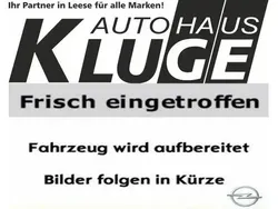 Jade weiss/arktis weiss Gebraucht 2021 Opel Combo Edition Van / Kleinbus | 17.890 € (Guter Preis)