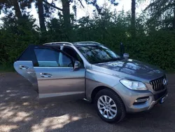 Mercedes ML250
