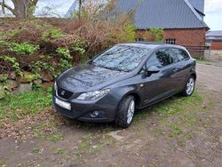 Grau Gebraucht 2011 Seat Ibiza Kleinwagen | 3.500 € (Fairer Preis)
