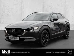 Neu 2025 Mazda CX-30 Homura-Line SUV | 30.990 €