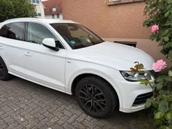 Weiß Gebraucht 2020 Audi Q5 S-Line SUV | 30.950 € (Superpreis)