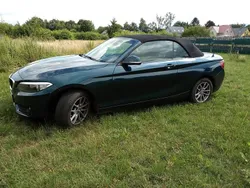 Blau Gebraucht 2015 BMW 218 Cabrio | 10.000 € (Guter Preis)