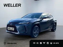Andere Gebraucht 2022 Lexus UX SUV | 26.990 € (Fairer Preis)