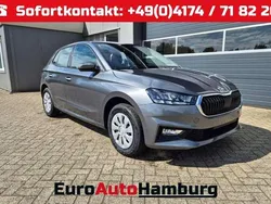 Graphitegrau metallic Neu 2025 Skoda Fabia Selection Kleinwagen | 20.100 € (Fairer Preis)