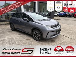 Grau Neu 2025 BYD Dolphin Comfort Kleinwagen | 29.999 € (Fairer Preis)