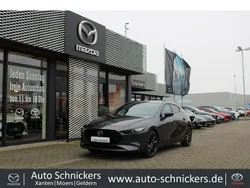 Grau Gebraucht 2022 Mazda 3 Homura-Line Limousine | 22.490 € (Fairer Preis)