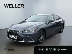 Grau metallic Gebraucht 2024 Lexus ES300 Limousine | 40.980 € (Superpreis)