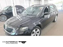 Schwarz Gebraucht 2020 Skoda Octavia G-TEC Ambition Kombi | 14.690 € (Guter Preis)