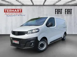 Weiss Gebraucht 2024 Fiat Scudo Van / Kleinbus | 28.545 € (Guter Preis)