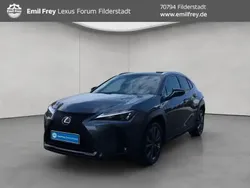 Grau Neu 2025 Lexus UX 300h Sport Design Packet SUV | 36.880 € (Fairer Preis)