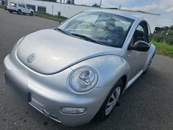 Grau Gebraucht 2002 VW Beetle Kleinwagen | 1.999 € (Fairer Preis)