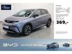 Grau (time grey) Gebraucht 2025 BYD Dolphin Design Kleinwagen | 29.980 € (Fairer Preis)