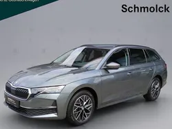 Grau Gebraucht 2024 Skoda Octavia Selection Kombi | 31.290 € (Fairer Preis)
