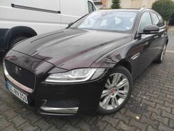Braun Gebraucht 2019 Jaguar XF Portfolio Kombi | 12.900 € (Fairer Preis)