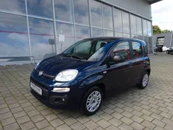 Blau Gebraucht 2022 Fiat Panda Kleinwagen | 12.380 €