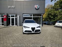 Weiß Gebraucht 2024 Alfa Romeo Stelvio Veloce SUV | 43.250 € (Teuer)