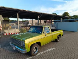 Grün Gebraucht 1973 Chevrolet C10 SUV | 15.555 €