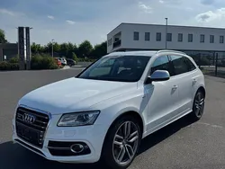 Weiß Gebraucht 2013 Audi SQ5 Advanced SUV | 24.999 € (Fairer Preis)