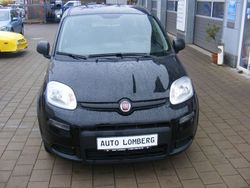 Schwarz Gebraucht 2024 Fiat Panda Kleinwagen | 13.300 € (Etwas zu teuer)