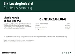 Grau Neu 2025 Skoda Kamiq Selection SUV | 31.990 € (Teuer)