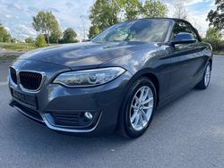 Grau Gebraucht 2016 BMW 218 Advantage Cabrio | 12.990 € (Guter Preis)