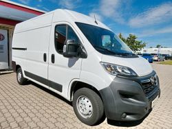 Weiß Gebraucht 2022 Opel Movano Edition Van | 17.400 € (Superpreis)
