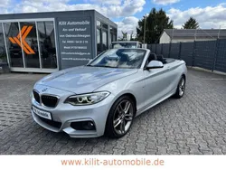 Silber Gebraucht 2015 BMW 220 M Sport Cabrio | 20.924 € (Fairer Preis)