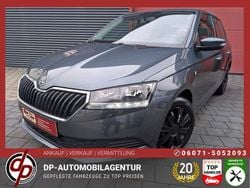 Grau Gebraucht 2019 Skoda Fabia Kleinwagen | 7.990 € (Guter Preis)
