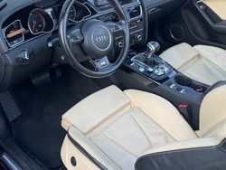 Schwarz Gebraucht 2014 Audi Cabriolet Sport Cabrio | 18.200 €