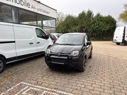 Schwarz Gebraucht 2023 Fiat Panda Kleinwagen | 12.890 € (Fairer Preis)