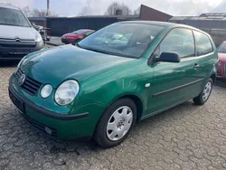 Grün Gebraucht 2002 VW Polo Basis Kleinwagen | 599 € (Superpreis)
