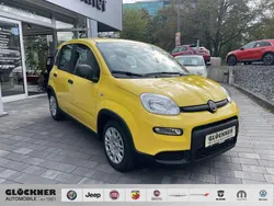 Gelb Neu 2024 Fiat Panda Kleinwagen | 15.990 €