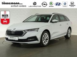 Weiss Gebraucht 2022 Skoda Octavia Ambition Kombi | 23.924 € (Guter Preis)