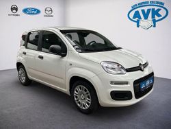 Colore esterno (weiss) Neu 2025 Fiat Panda Icon Kleinwagen | 15.990 € (Etwas zu teuer)