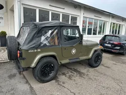Grau Gebraucht 1995 Jeep Wrangler SUV | 13.900 €