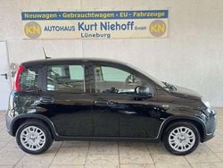 Schwarz Gebraucht 2024 Fiat Panda Kleinwagen | 16.480 € (Teuer)