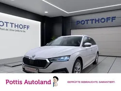 Weiss Gebraucht 2023 Skoda Octavia Style Kombi | 24.377 € (Guter Preis)