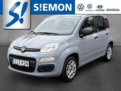 Blau Gebraucht 2021 Fiat Panda Easy Kleinwagen | 9.990 € (Fairer Preis)