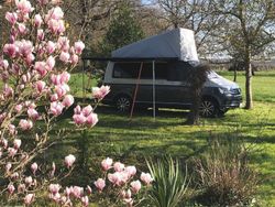 Grau Gebraucht 2019 VW T6.1 California Van | 51.800 €