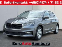 Graphitegrau metallic Neu 2025 Skoda Fabia Selection Kleinwagen | 23.480 € (Fairer Preis)