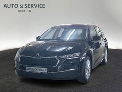 Schwarz Gebraucht 2025 Skoda Octavia Selection Limousine | 29.960 € (Fairer Preis)
