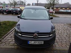 Blau Gebraucht 2019 VW Caddy Trendline Van / Kleinbus | 14.900 € (Etwas zu teuer)